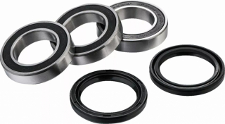 Factory Links Bearing Kit Rr Wheel Bearing Kit i gruppen  hos Blixt&Dunder AB (02151229)