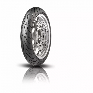 Dunlop  Rdsm Iv 120/60Zr17 (55W) Tl i gruppen  hos Blixt&Dunder AB (03010925)