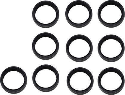 James Gasket Fork Seal 49Mm 10/Pk Fork Seal 49Mm 10/Pk i gruppen  hos Blixt&Dunder AB (04070666)