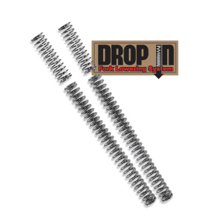  in the group Parts & Accessories / Fork /  / Fork legs & springs at Blixt&Dunder AB (04160106)