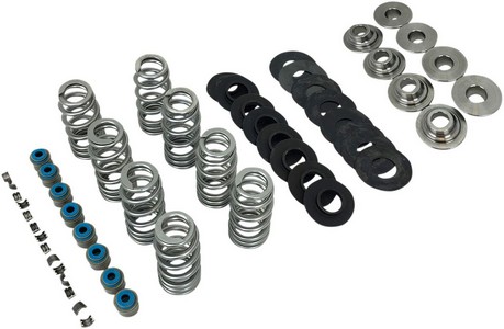 Feuling Valve Spring Kit Endurance Beehive Valve Springs Bhive 17 M8 i gruppen Reservdelar & Tillbehr / Motordelar  / Motordelar M8 / verdel M8 / Toppar/Delar M8 hos Blixt&Dunder AB (09262974)