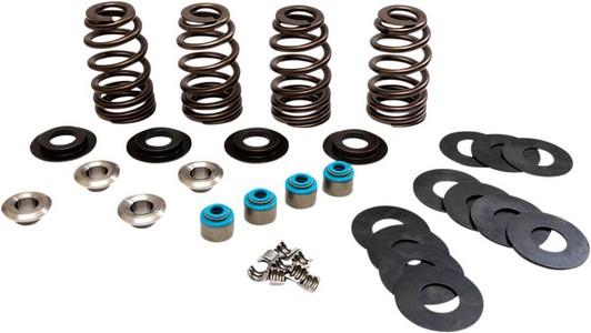 Feuling Valve Springs Econo Tc Valve Springs Econo Tc i gruppen Reservdelar & Tillbehr / Motordelar  / Motordelar Sportster / verdel Sportster / Toppar/Delar Sportster hos Blixt&Dunder AB (09263323)