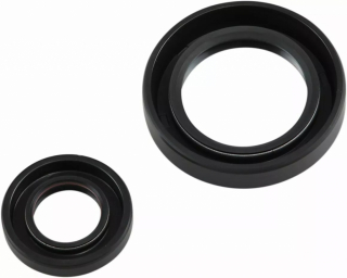 CRANKSEAL SET CR250 92-07 i gruppen  hos Blixt&Dunder AB (094187)