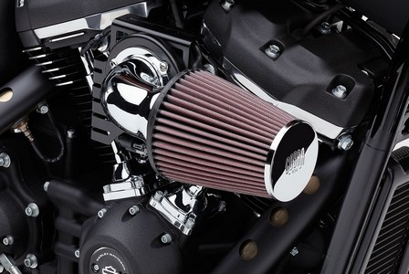  in the group Service parts / Maintenance / Harley Davidson / Filters / Air Filters at Blixt&Dunder AB (10102224)