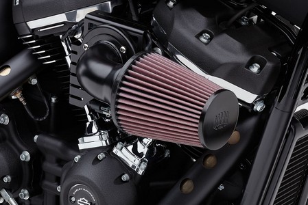  in the group Service parts / Maintenance / Harley Davidson / Filters / Air Filters at Blixt&Dunder AB (10102225)