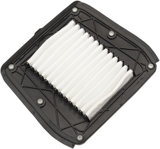  in the group Service parts / Maintenance / Harley Davidson / Filters / Air Filters at Blixt&Dunder AB (10113522)