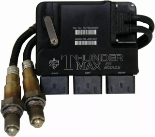 Thundermax Ecm W/Autotune 16-17St Ecm W/Autotune 16-17St i gruppen  hos Blixt&Dunder AB (10202850)