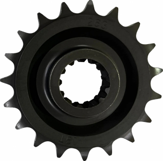 Drag Specialties Sprocket Frt 19T 21-23 Ra1250 Sprocket Frt 19T 21-23 i gruppen Reservdelar & Tillbeh�r / V�xell�da & transmission / Drivlina / Sekund�rdrivning kedja / Framdrev hos Blixt&Dunder AB (12122054)