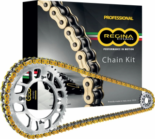 Regina 136 Ort2 112 Rivet Link 530 O-Ring Chain Kit / 15 Teeth Front & i gruppen  hos Blixt&Dunder AB (12300536)