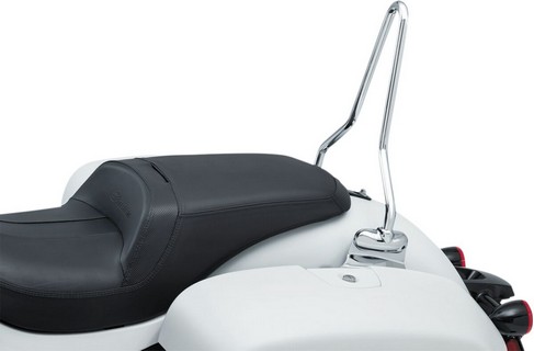 Kuryakyn Sissybar W/Mounts Ind 14+ Sissybar W/Mounts Ind 14+ i gruppen  hos Blixt&Dunder AB (15010718)