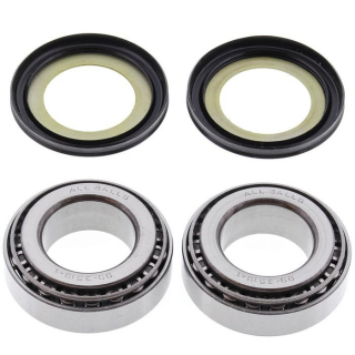 All Balls Steering Stem Bearing & Seal Kit Suzuki/Triumph/Yamaha All B i gruppen Servicedelar & Olja / Slitdelar & underh�ll / Slitdelar �vriga m�rken / Framgaffel  hos Blixt&Dunder AB (221003)