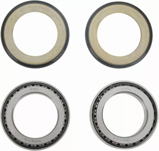 All Balls Steering Stem Bearing & Seal Kit Aprilia/Ducati/Kawasaki i gruppen  hos Blixt&Dunder AB (221039)