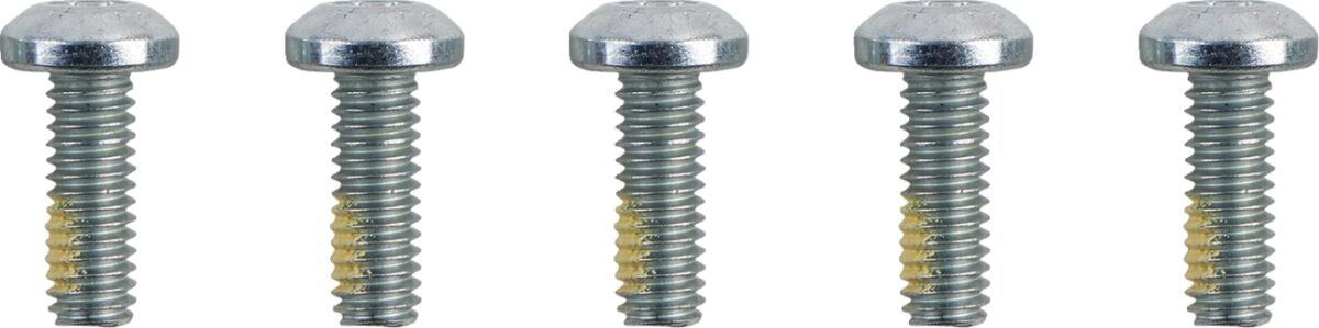 Drag Specialties Screws F Rtr 5/16-18Torx Screws F Rtr 5/16-18Torx i gruppen  hos Blixt&Dunder AB (24011582)