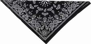 Zan Headgear Paisley Cotton Bandana i gruppen Klder & Utrustning / Klder / Tunnel & Bandana hos Blixt&Dunder AB (25040491)