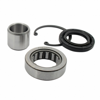 All Balls, inner primary bearing & seal kit 08-24 Softail, 08-17 Dyna i gruppen  hos Blixt&Dunder AB (530633)