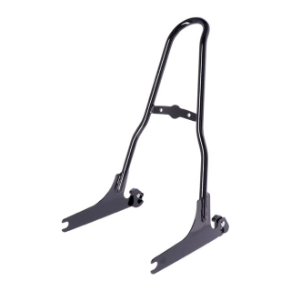 Sissy Bar Kit 21