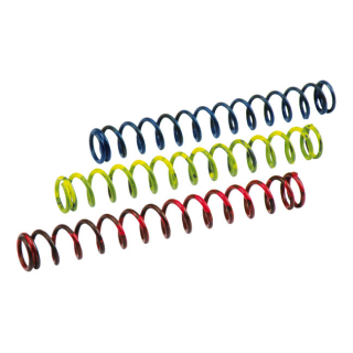 Ert, Superpump Spring Kit 66-99 B.T 3-Spring Color Coded Kit i gruppen Reservdelar & Tillbehr / Motordelar  / Motordelar Shovelhead / Bottendel Shovel / Oljepump Shovelhead hos Blixt&Dunder AB (909495)