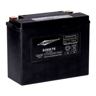 Mcs, Standard Series - Agm Sealed Battery. 12V, 23Ah. 360Cca 80-96 Flt i gruppen Servicedelar & Olja / Batterier / AGM / Gel hos Blixt&Dunder AB (936676)
