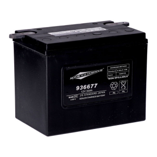Mcs, Standard Series - Agm Sealed Battery. 12V, 30Ah. 370Cca 65-84 Fl, i gruppen Servicedelar & Olja / Batterier / AGM / Gel hos Blixt&Dunder AB (936677)