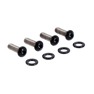 Screws4Bikes, Bolt Kit, Front Fender 16-20 Xl1200Cx Roa i gruppen  hos Blixt&Dunder AB (979734)