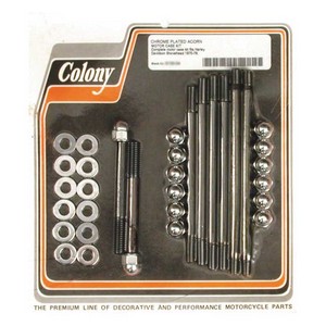 Colony Crankcase Bolt Kit 70-78 Shovel i gruppen Reservdelar & Tillbehr / Skruv- / monteringskit / Skruvkit Motor / Skruvkit Botten hos Blixt&Dunder AB (989260)
