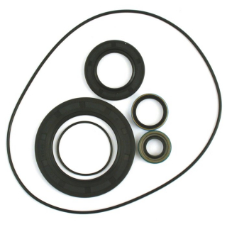 James Gasket Oil Seal Kit Transmission Sprocket Trans Seal Kit  i gruppen Reservdelar & Tillbeh�r / V�xell�da & transmission / V�xell�da / Delar 5-vxl l�da hos Blixt&Dunder AB (DS174906)