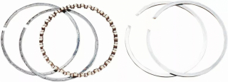 Hastings Replacement 4-Stroke Piston Ring Set Rings 95