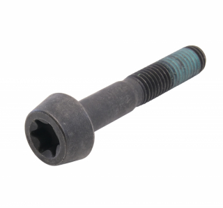 Harley-Davidson Screw,Compensator Oem: 10500031 i gruppen Reservdelar & Tillbeh�r / V�xell�da & transmission / Drivlina / Prim�rdrivning kedja hos Blixt&Dunder AB (HD-10500031)