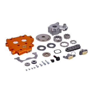 Harley-Davidson Kit-Cam Plate,Hybrid,W/Hi-Vol Oem: 25284-11 i gruppen  hos Blixt&Dunder AB (HD-25284-11)