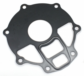 Gasket, Waterpump i gruppen  hos Blixt&Dunder AB (Z751430)