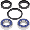 All Balls Wheel Bearing & Seal Kit Front Honda Wheel Bearing Kit 25-10