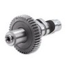 S&S Camshaft Replacement Camshaft Gear 513 Alterna