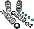 Feuling Valve Spring Kit Endurance Beehive Valve Springs Bhive 05-17