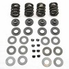 S&S .590" Lift Valve Spring Kit Valve Spring Kit .590 81-