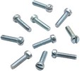 S&S Screw Asccl Pmp Adj 10Pk Screw Asccl Pmp Adj 10Pk