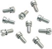 S&S Screw Accl Pmp Cap 10Pk Screw Accl Pmp Cap 10Pk