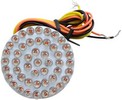 Custom Dynamics Genesis Led Cluster 1.8" 48Leds/Amber Bulb Led Clstr 1