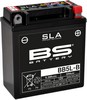 Bs Batteries Battery Bb5L-B Sla 12V 65 A