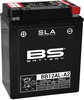 Bs Batteries Battery Bb12Al-A2 Sla 12V 150 A