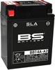 Bs Batteries Battery Bb14A-A2 Sla 12V 160 A