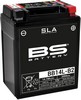 Bs Batteries Battery Bb14L-B2 Sla 12V 175 A
