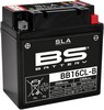 Bs Battery Battery Bb16Cl-B Sla 12V 230 A Battery Bs Bb16Cl-B Sla
