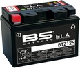 Bs Batteries Battery Btz12S Sla 12V 215 A