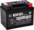 Bs Battery Battery Btx4L Sla 12V 50 A Battery Bs Btx4L/Btz5S