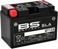 Bs Batteries Battery Bt12A Sla 12V 175 A