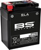 Bs Batteries Battery Btx14Ah Sla 12V 210 A