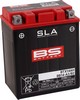 Bs Battery Battery Btx14Ah Sla 12V 210 A Battery Bs Btx14Ah/Bb14-A2/B2