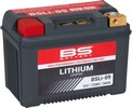 BS Battery BSLI09 Lithium (360 CCA)