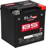 "Bs Battery 21130933	Battery Bs Bgz32Hl Sla Max	300935	U	A	Chn	Code 39