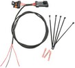 Namz Harness R.Light/Lic/Whip Harness R.Light/Lic/Whip